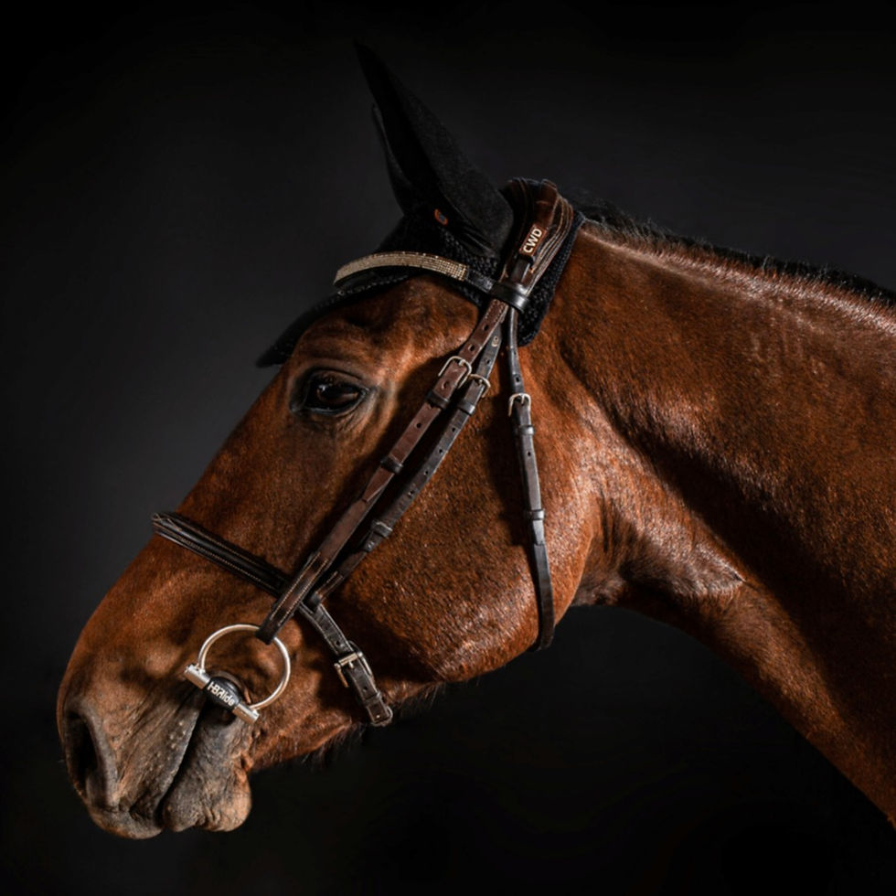 Miniature : Anneaux Verdun - I-Bride