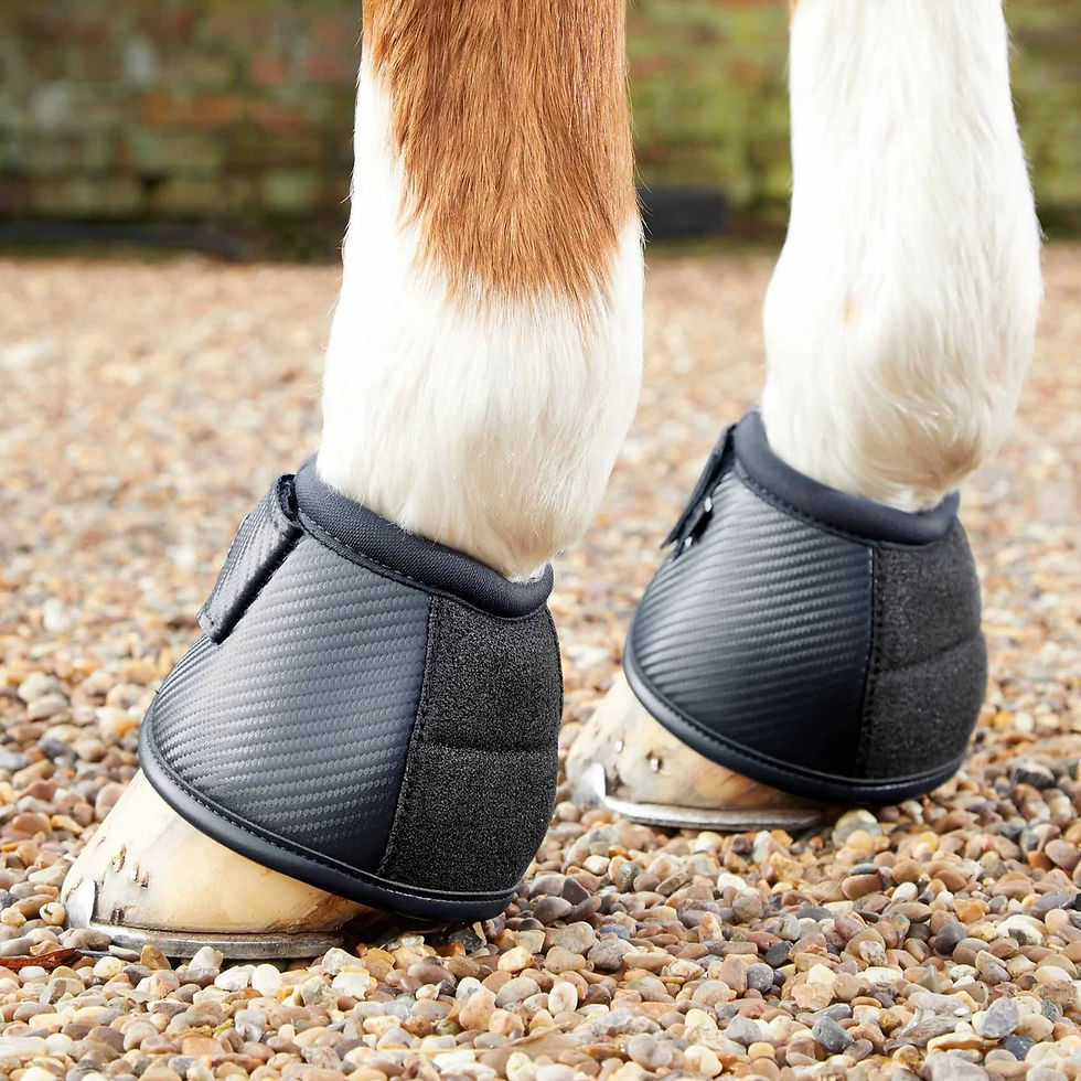 Thumbnail: Cloches Anti-Retournement Carbon Tech Kevlar Noir - Premier Equine
