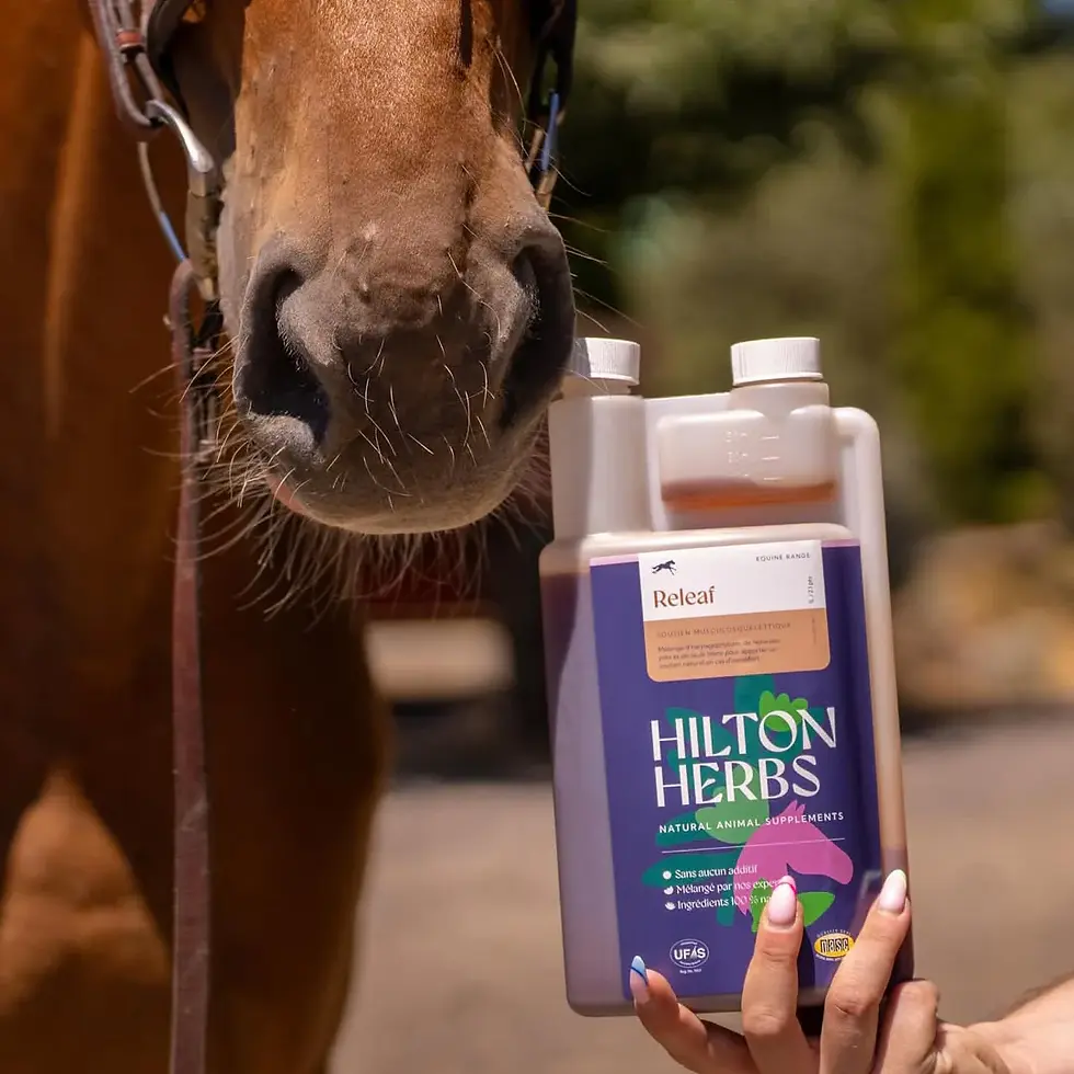 Thumbnail: Releaf Liquide - Hilton Herbs