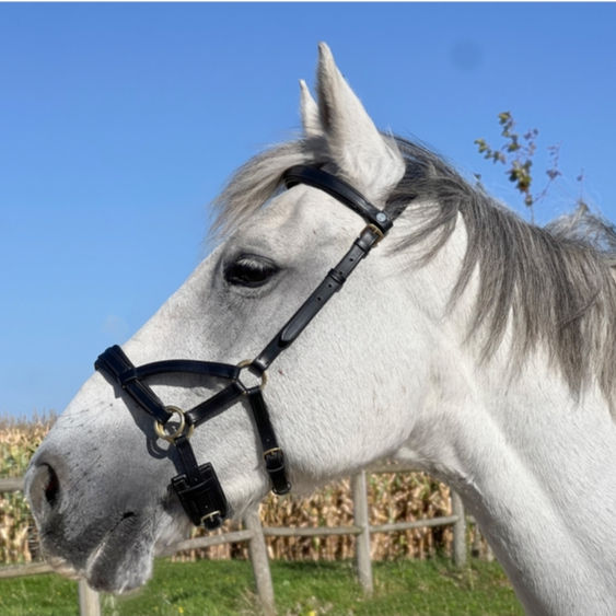 Miniature : Side Pull No More - TdeT