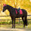 Miniature : Bonnet Loire Cranberry - LeMieux