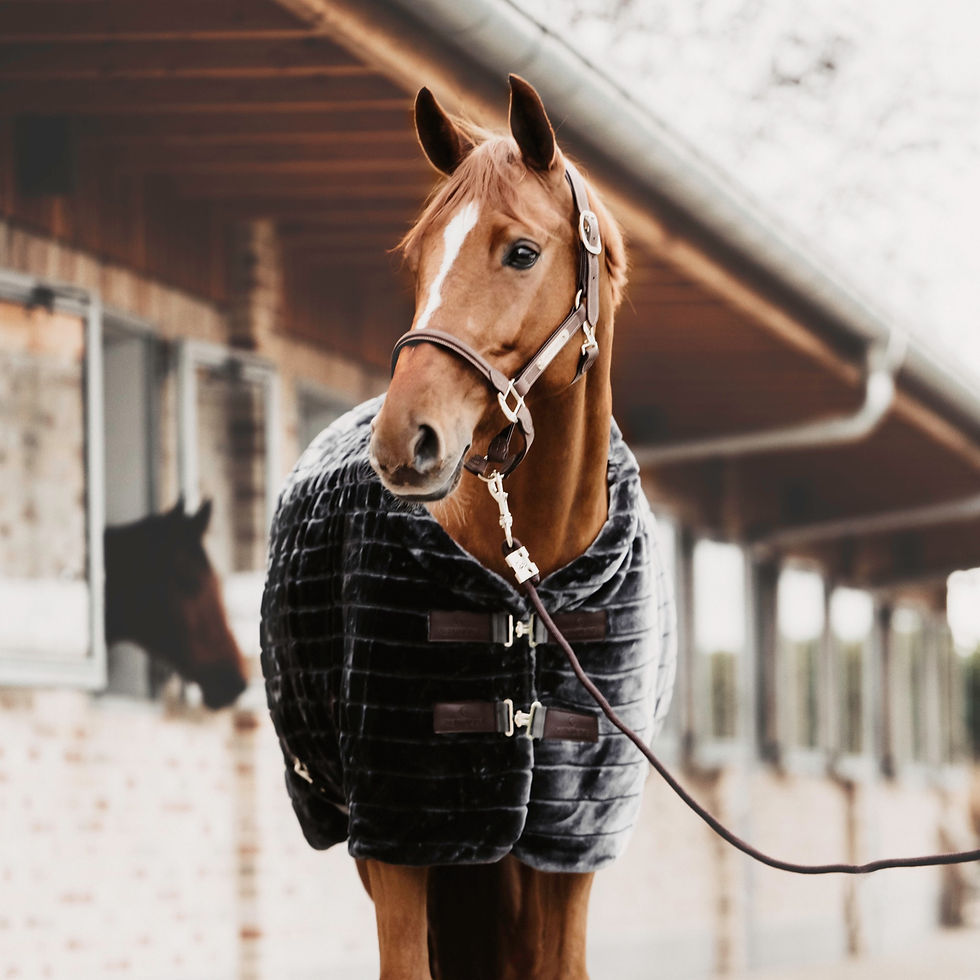 COUVERTURE FAUSSE FOURRURE KENTUCKY