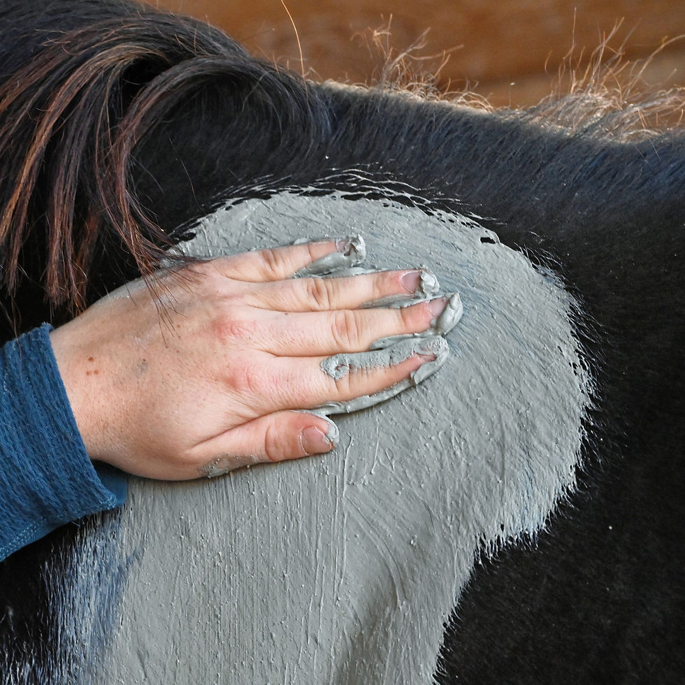 Miniature : Natural’Comfort - Natural'Innov