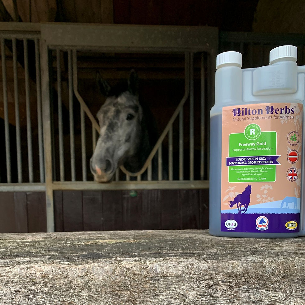 Miniature : Freeway Liquide - Hilton Herbs