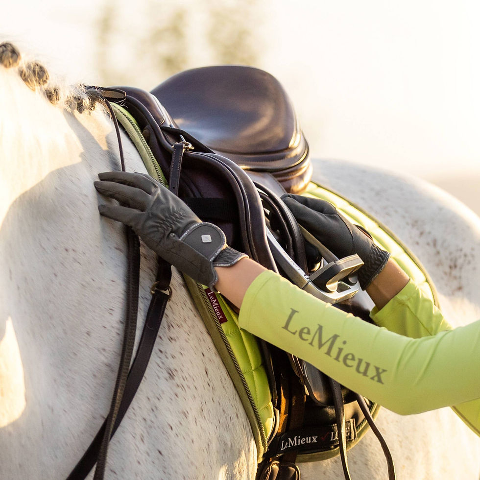 Thumbnail: Gants Classic Grey - LeMieux