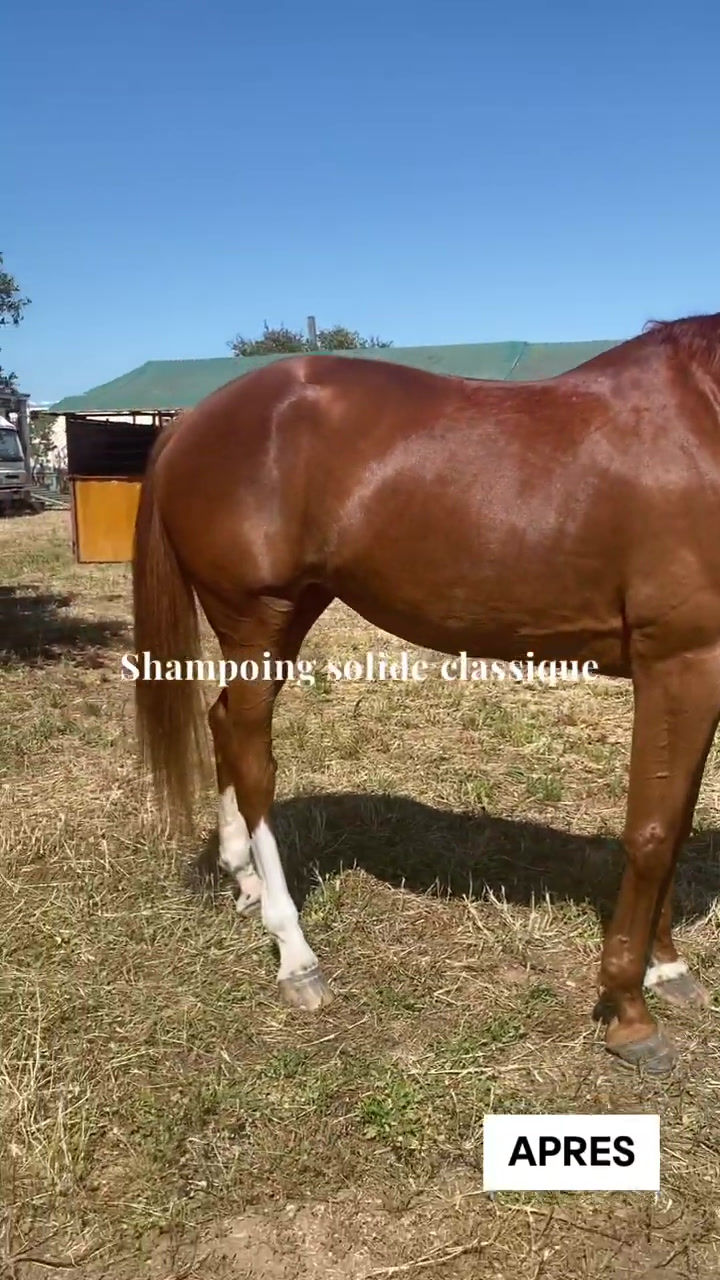 Miniature : Shampoing Solide Classique - Karitale