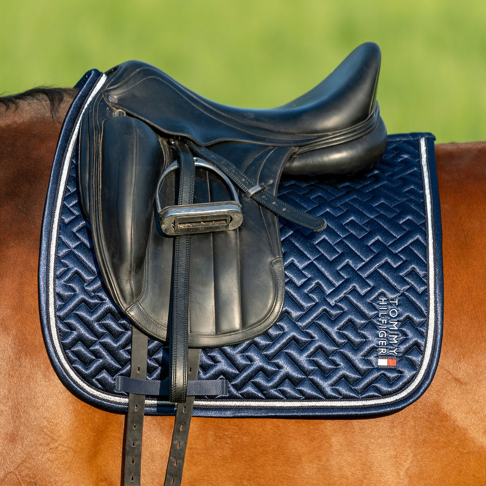 Miniature : Tapis de Selle Dressage Windsor Desert Sky - Tommy Hilfiger