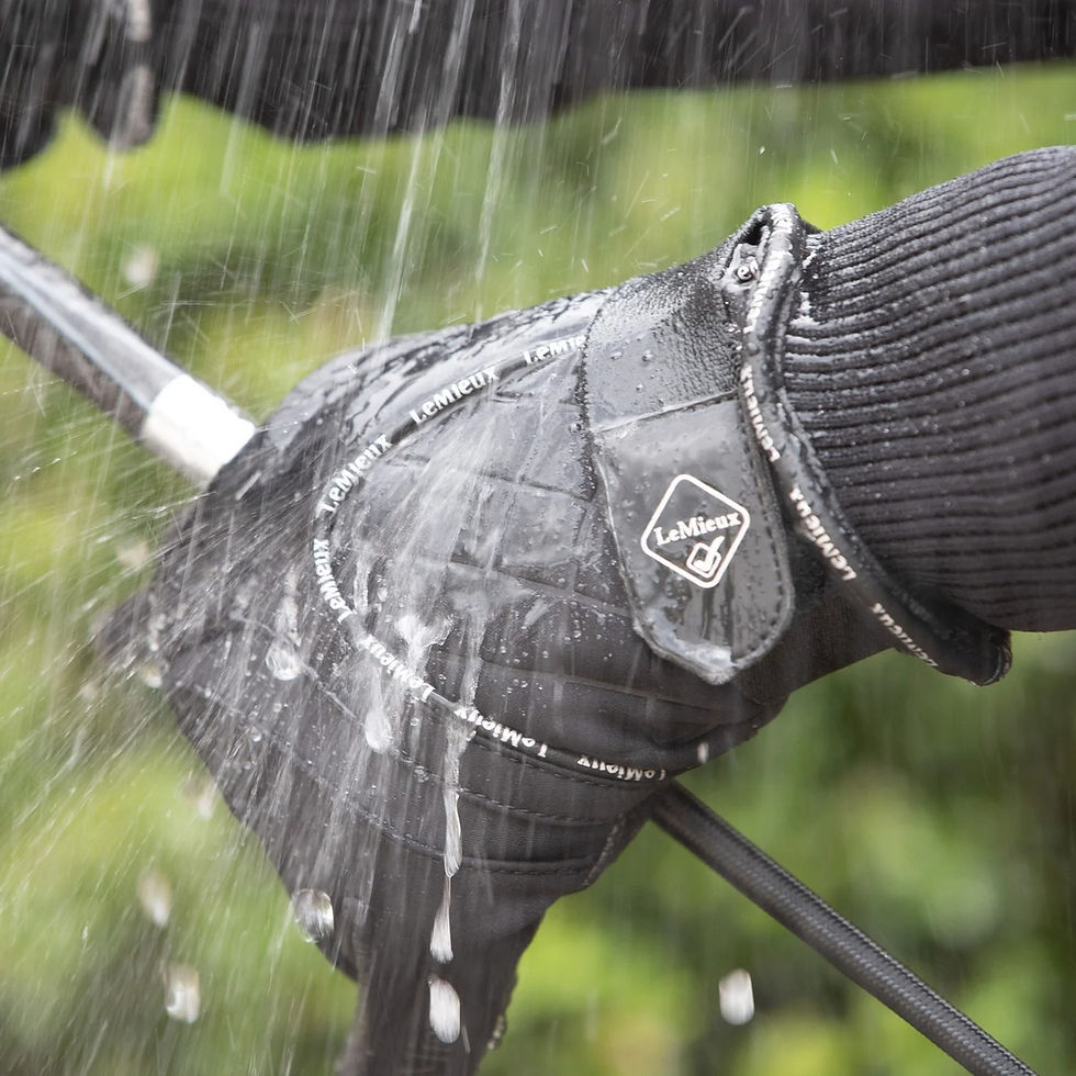 Gants Waterproof Lite Black - LeMieux