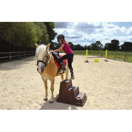 Thumbnail: Montoir Easy Step Marron - La Gée