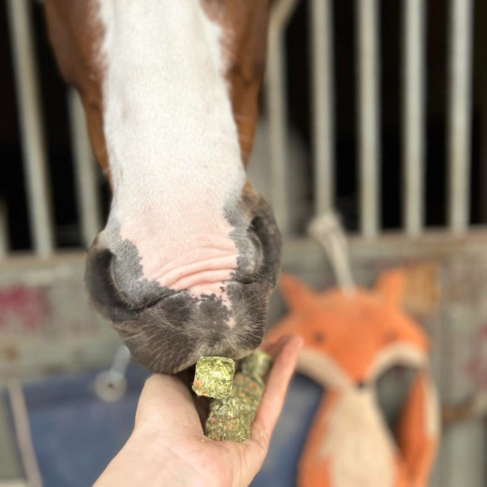 Miniature : Snack Luzerne Carotte - ESC Laboratoire