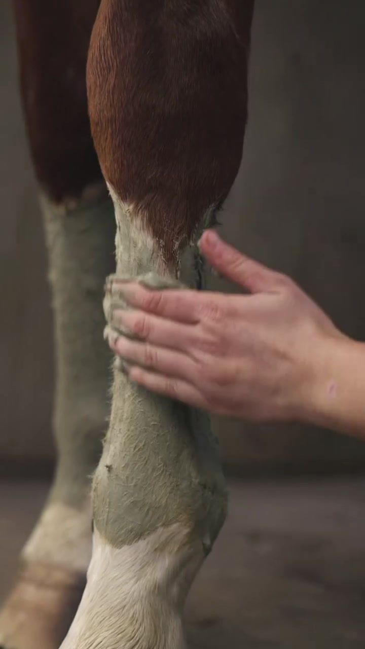 Thumbnail: Argile soutien circulatoire - Cura Naturale