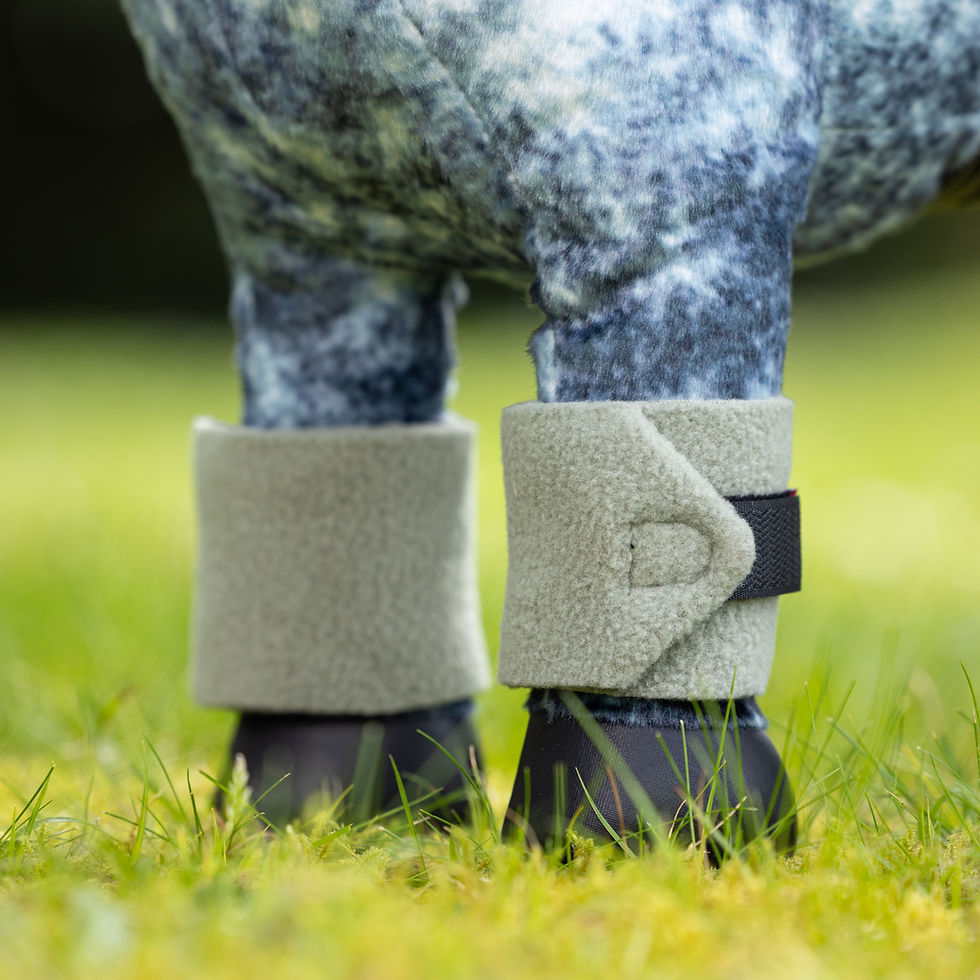 Miniature : Bandes de Polo Mini Pony Fern - LeMieux