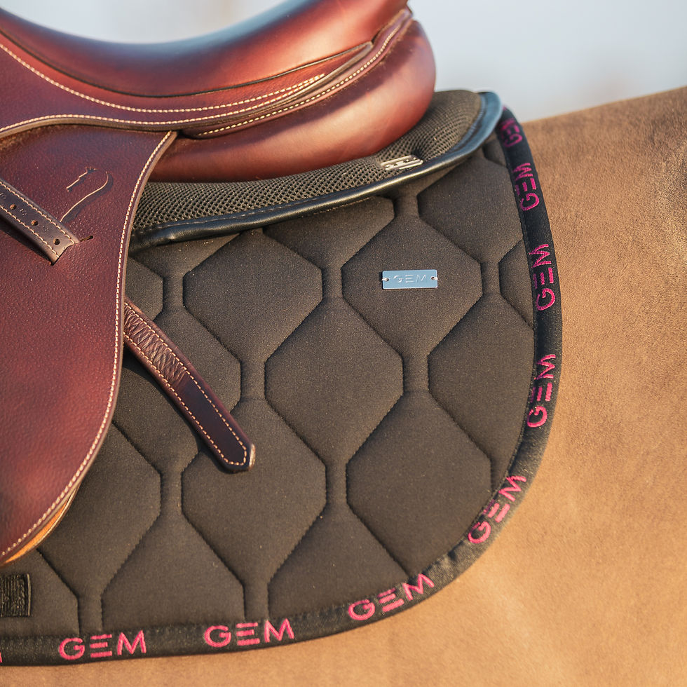 Thumbnail: Tapis de Selle Love GEM Noir / Rose - GEM