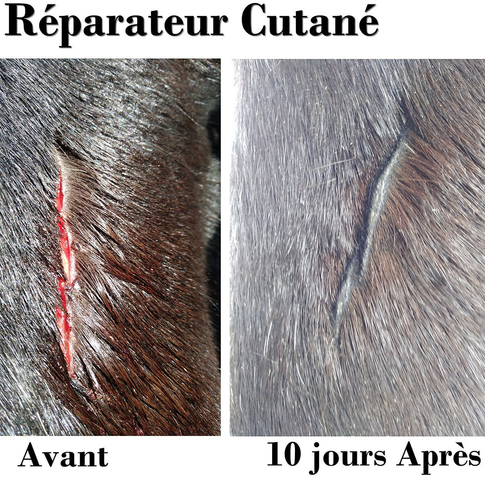Thumbnail: Spray réparateur cutané - EKIN