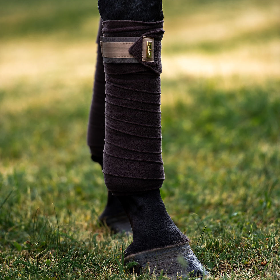 Thumbnail: Bandes de Polo Golden Brown - Equestrian Stockholm
