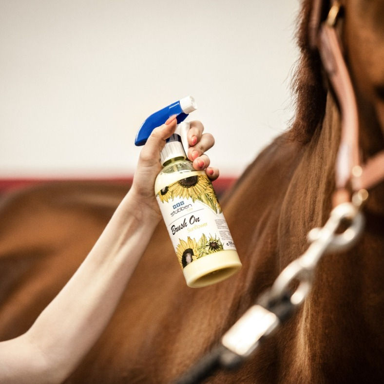 Miniature : Démêlant Brush On Sunflower - Stübben