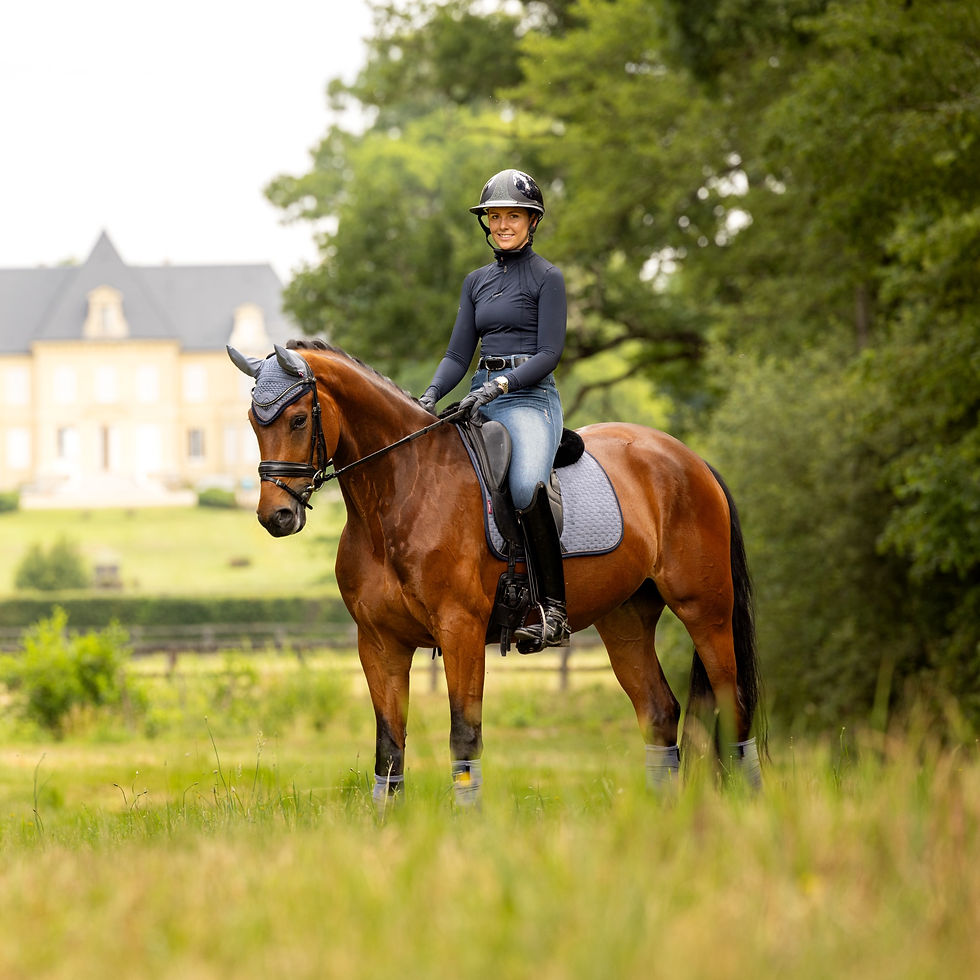 Miniature : Tapis de Selle Suède Dressage Jay Blue - LeMieux