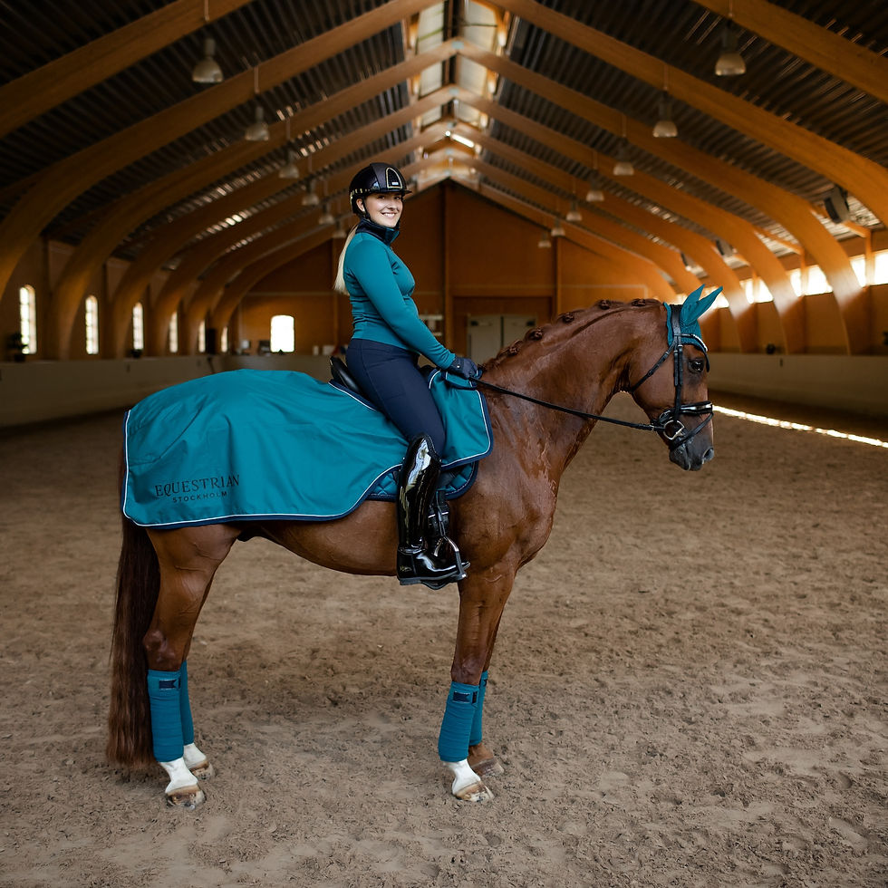 Thumbnail: Bandes de Polo Aurora Blues - Equestrian Stockholm