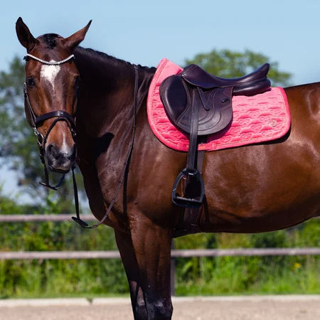 Thumbnail: Tapis de Selle Velvet Monogram Scarlet Pink - PS of Sweden