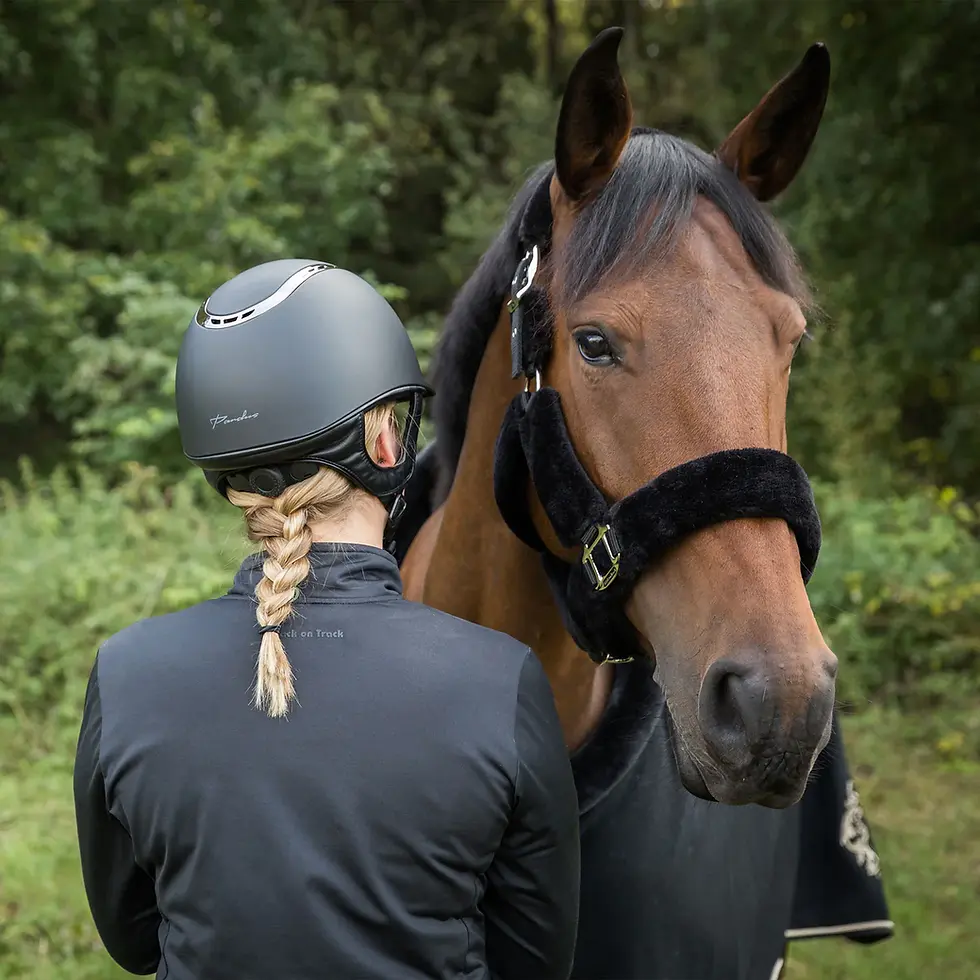 Miniature : Licol Audrey - Back On Track