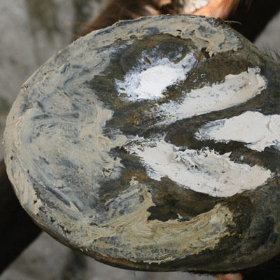 Thumbnail: Artimud - Red Horse Products