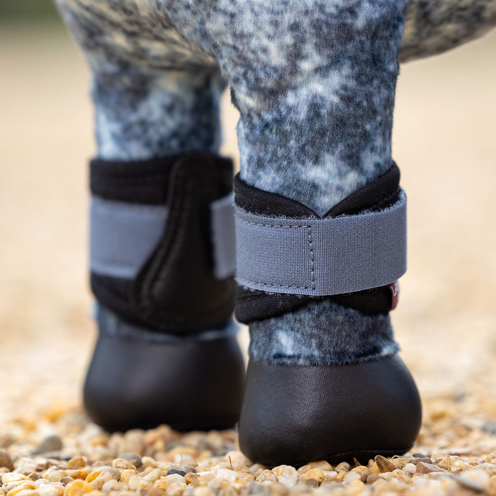 Miniature : Guêtres Mini Pony Jay Blue - LeMieux