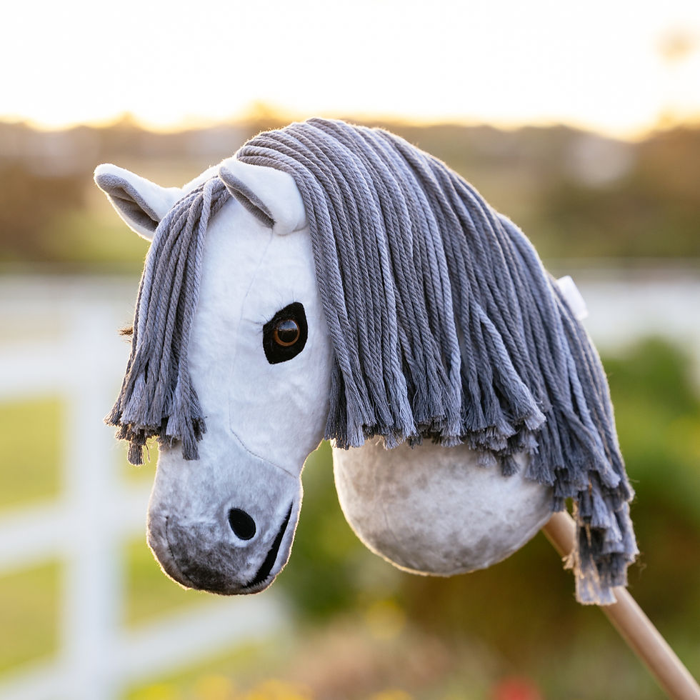 Hobby Horse Earl One - LeMieux