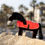 Thumbnail: Couverture Mini Pony Papaya - LeMieux