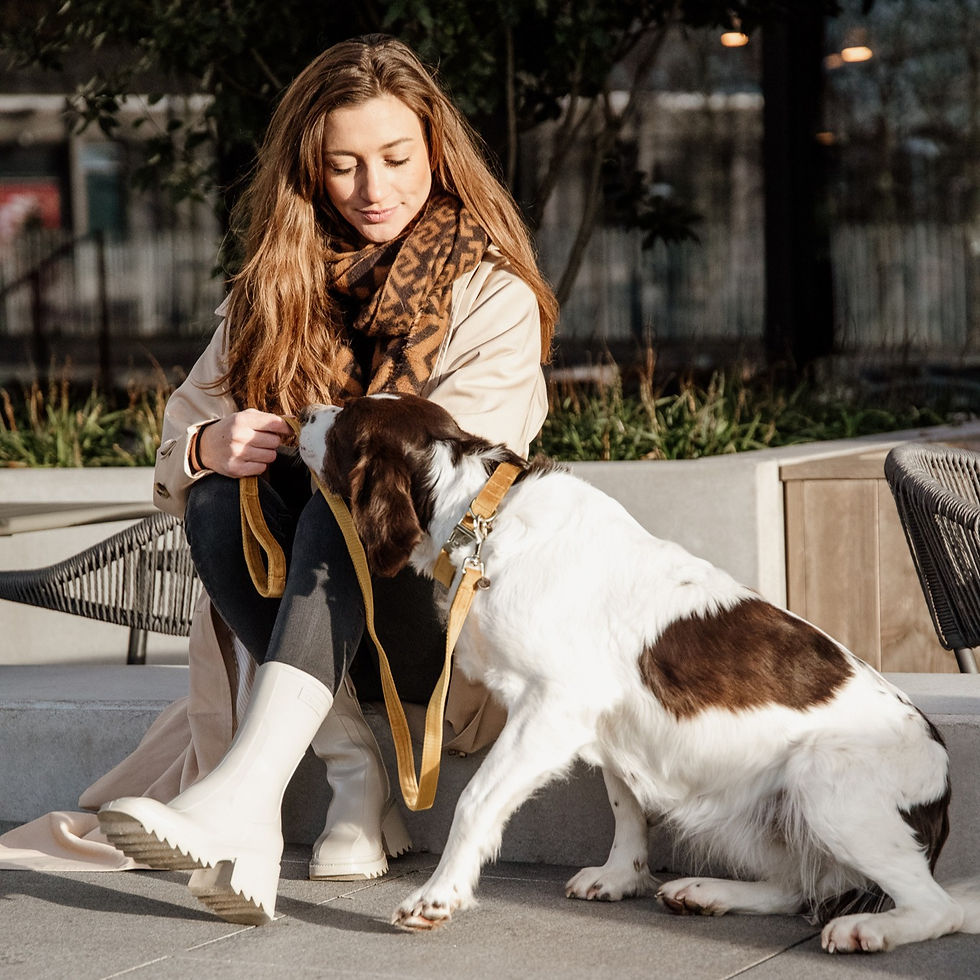 Thumbnail: Laisse pour Chien Velvet Moutarde - Kentucky Dogwear