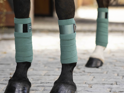 Bandes de polo, bandes de repos, bandes de travail ou bandes mixtes : comment s'y retrouver ?