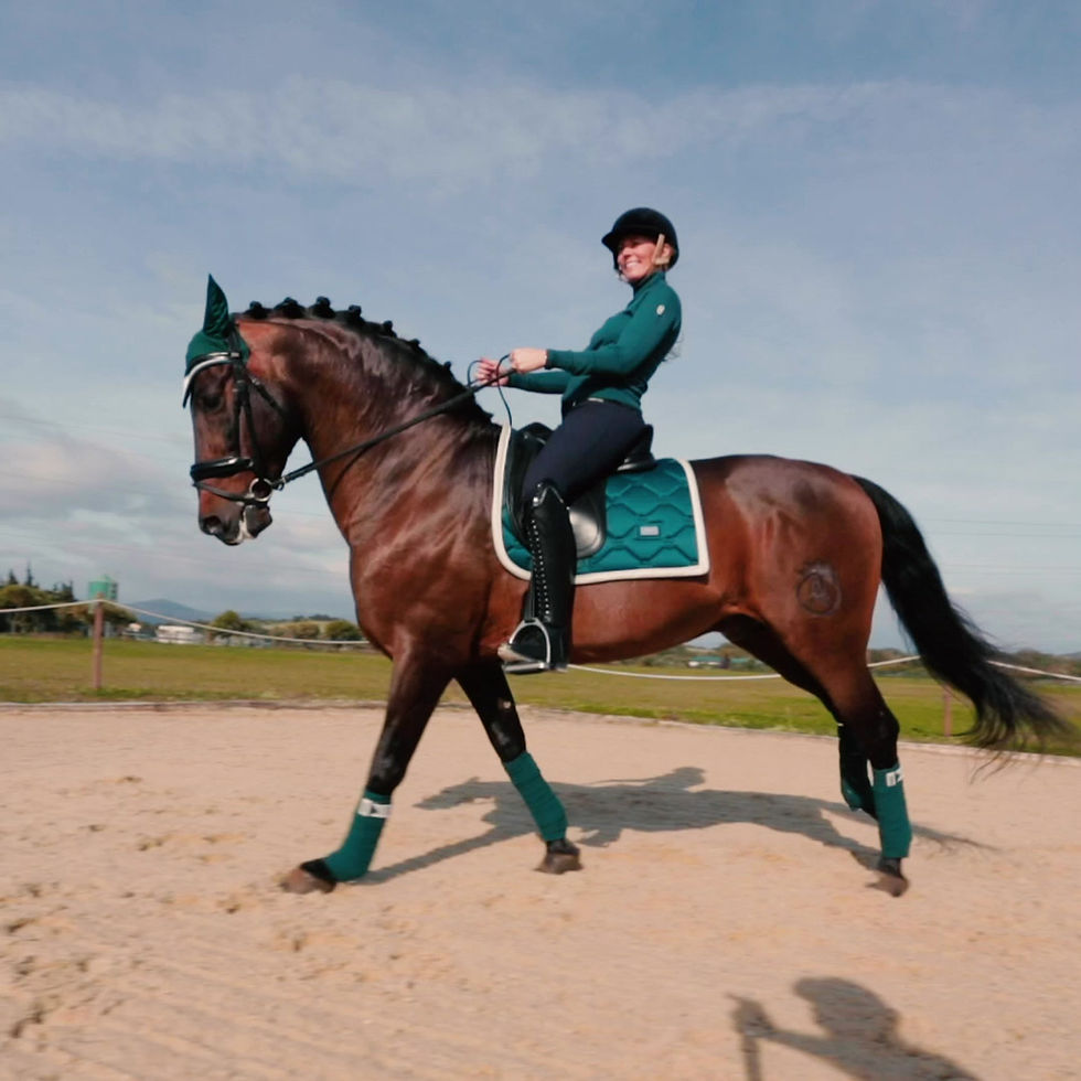 Miniature : Tapis de Selle Dressage Amazonite - Equestrian Stockholm