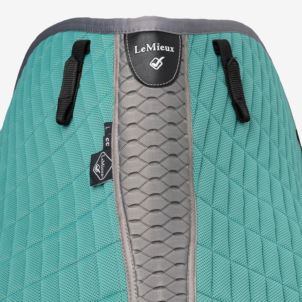 Thumbnail: Tapis de Selle Cooling Close Contact Spearmint - LeMieux
