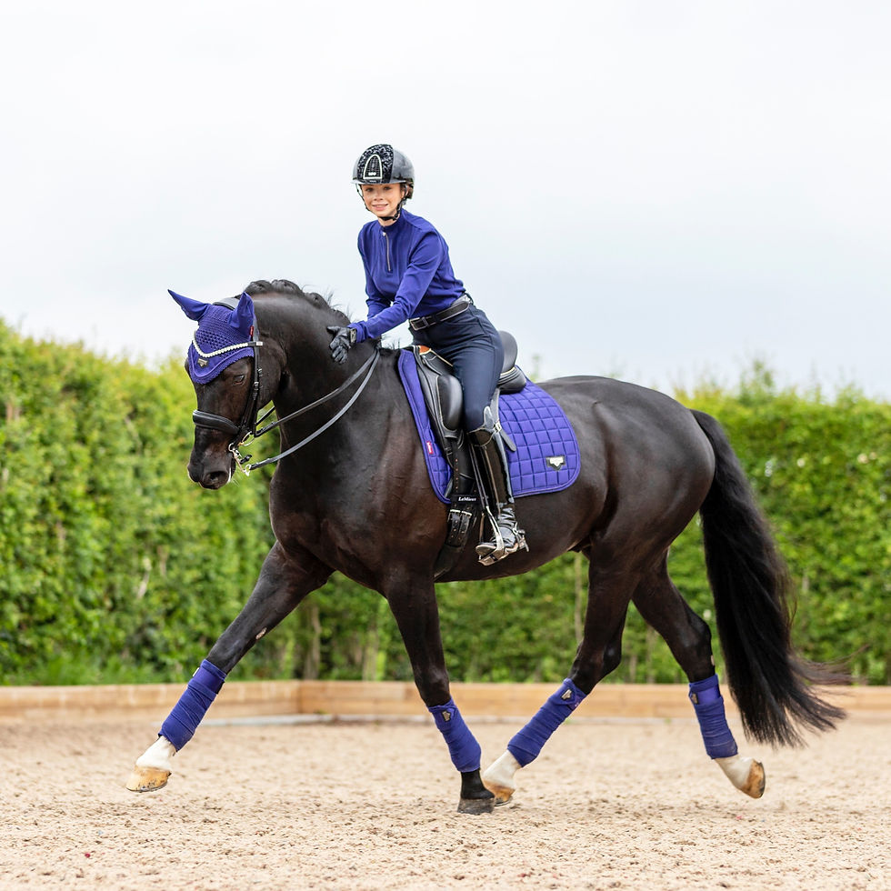 Thumbnail: Bandes de Polo Loire Ink Blue - LeMieux
