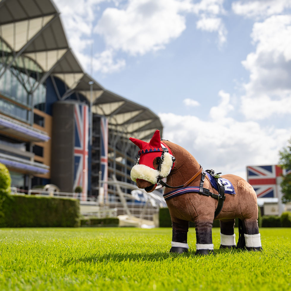 Miniature : Bridon de course Mini Pony - LeMieux