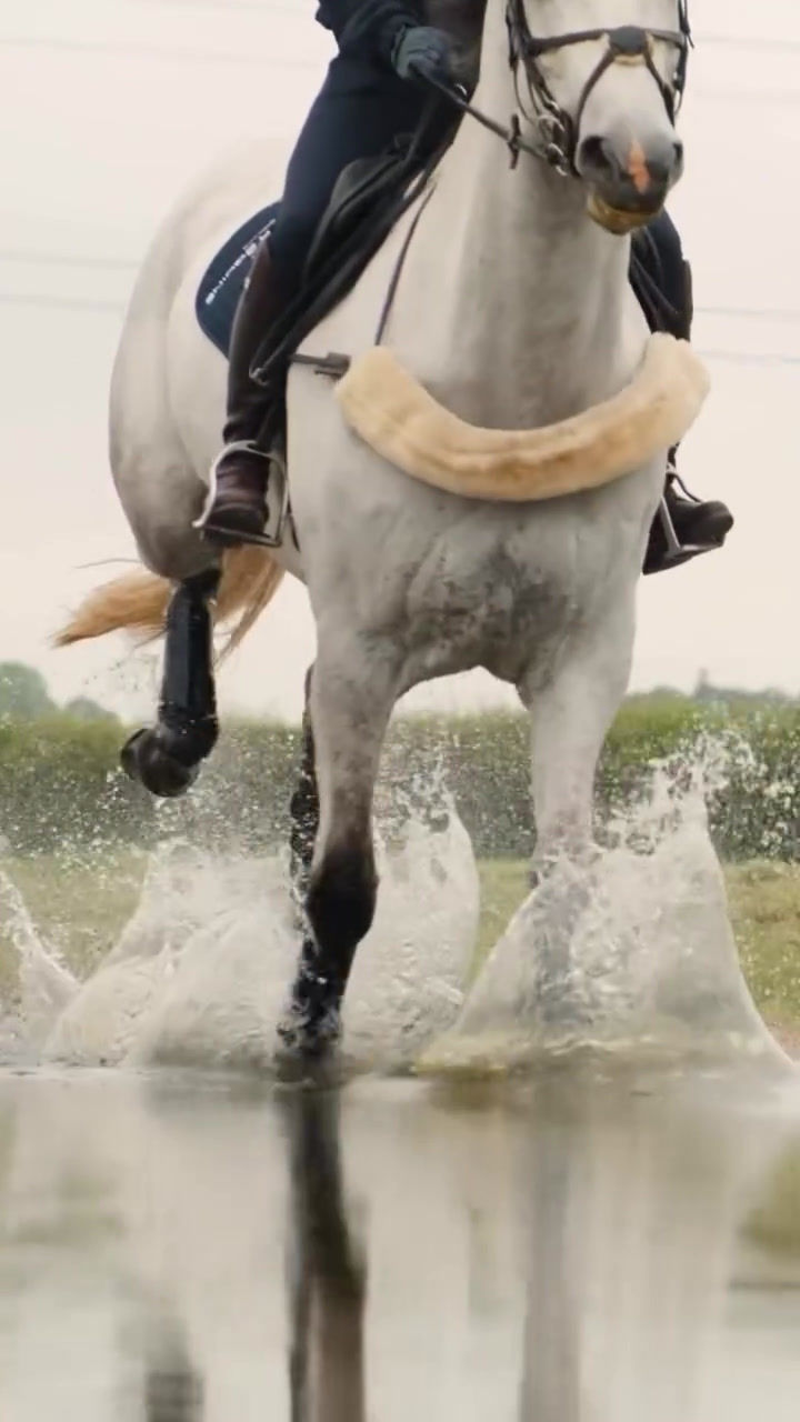 Thumbnail: Guêtres de Cross Air Cooled Original Noir - Premier Equine