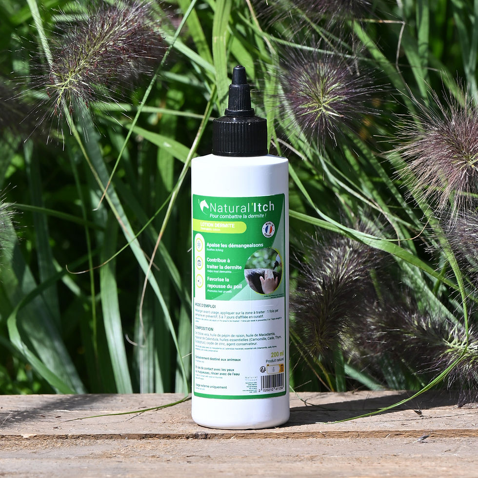 Thumbnail: Natural’Itch - Natural'Innov