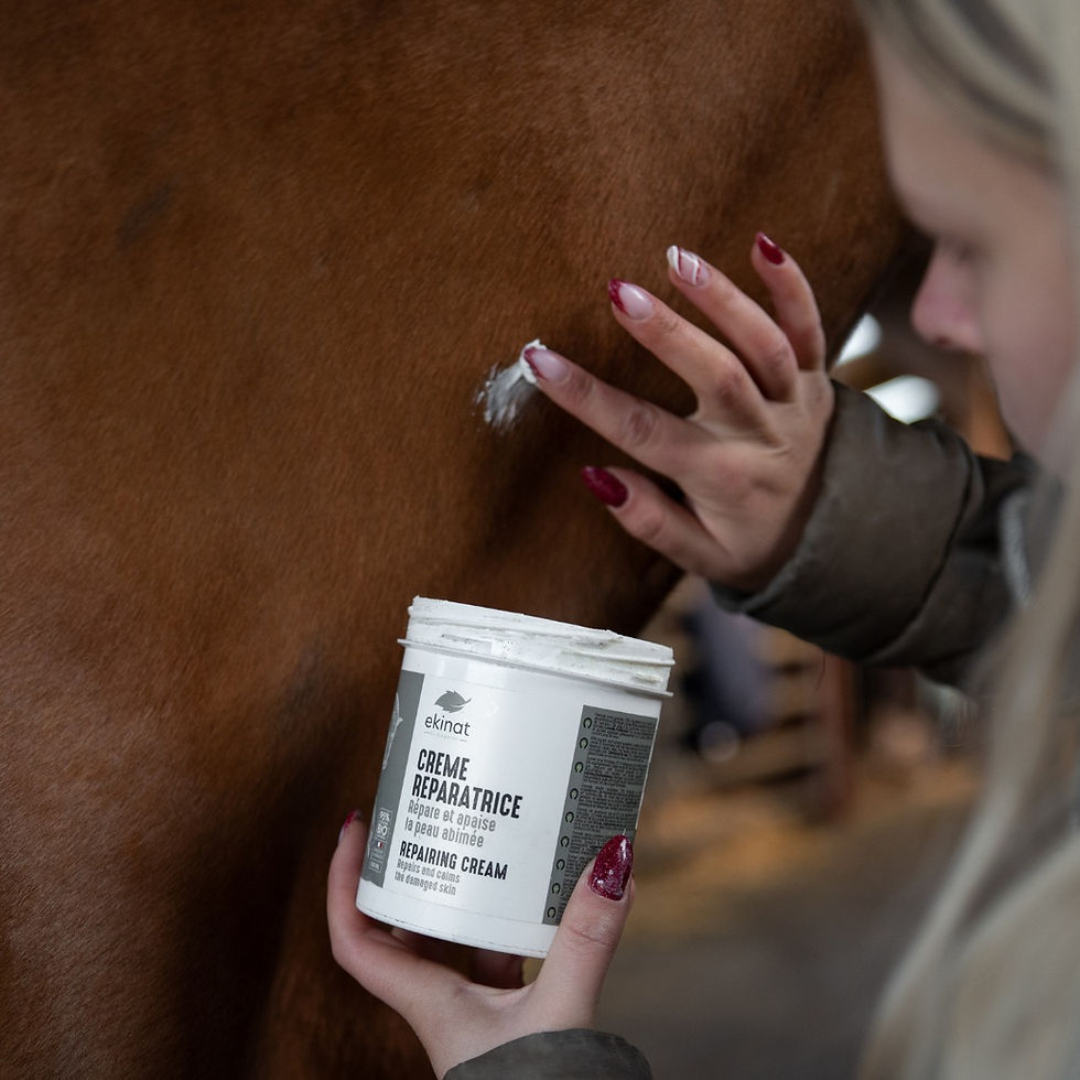 Thumbnail: Crème Réparatrice - Ekinat