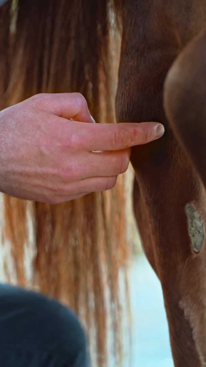 Thumbnail: Huile excroissance cutanée - Cura Naturale