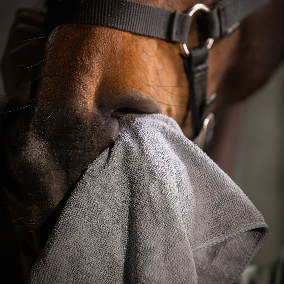 Miniature : Hydrolat nettoyant (ex Lotion nettoyante) - Cura Naturale