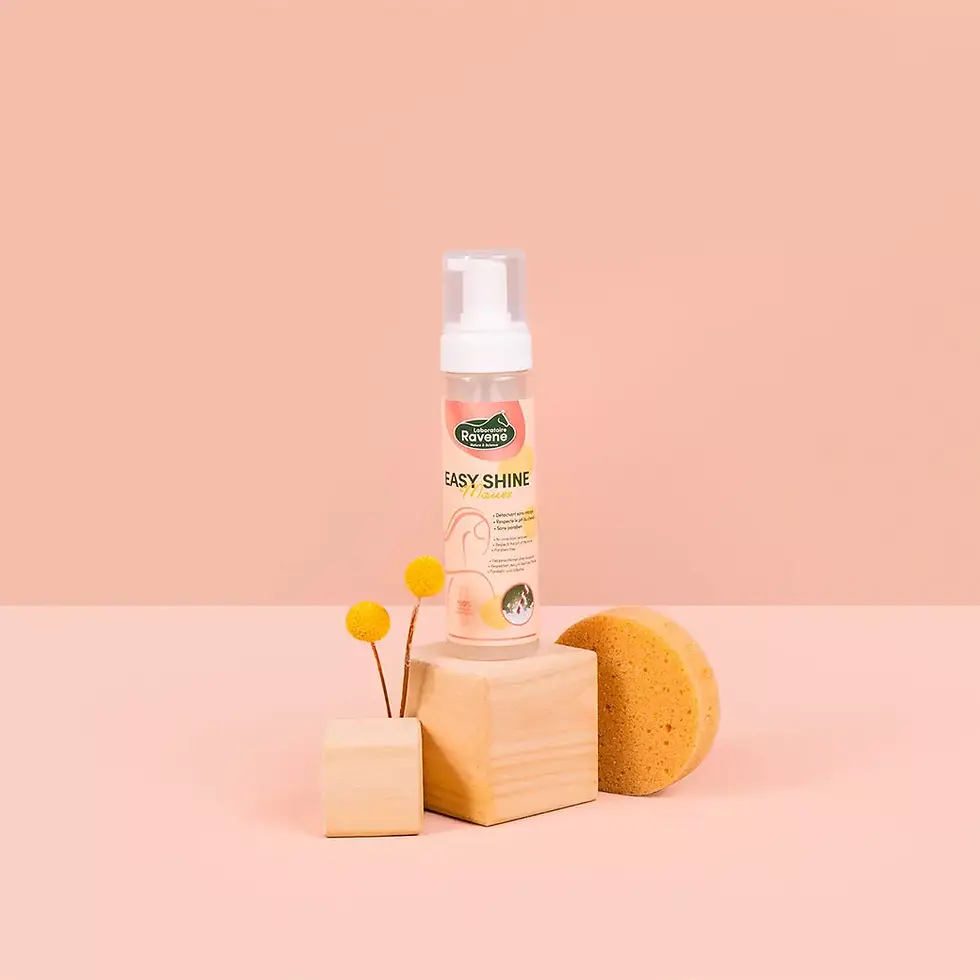 Miniature : Easy Shine Mouss - Ravene