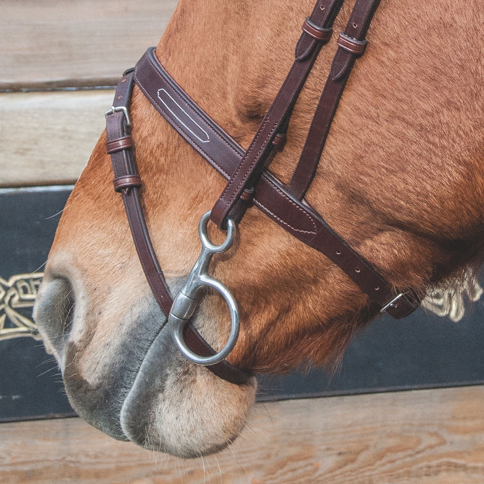 Thumbnail: Black Manet Bridge Bridle - TdeT