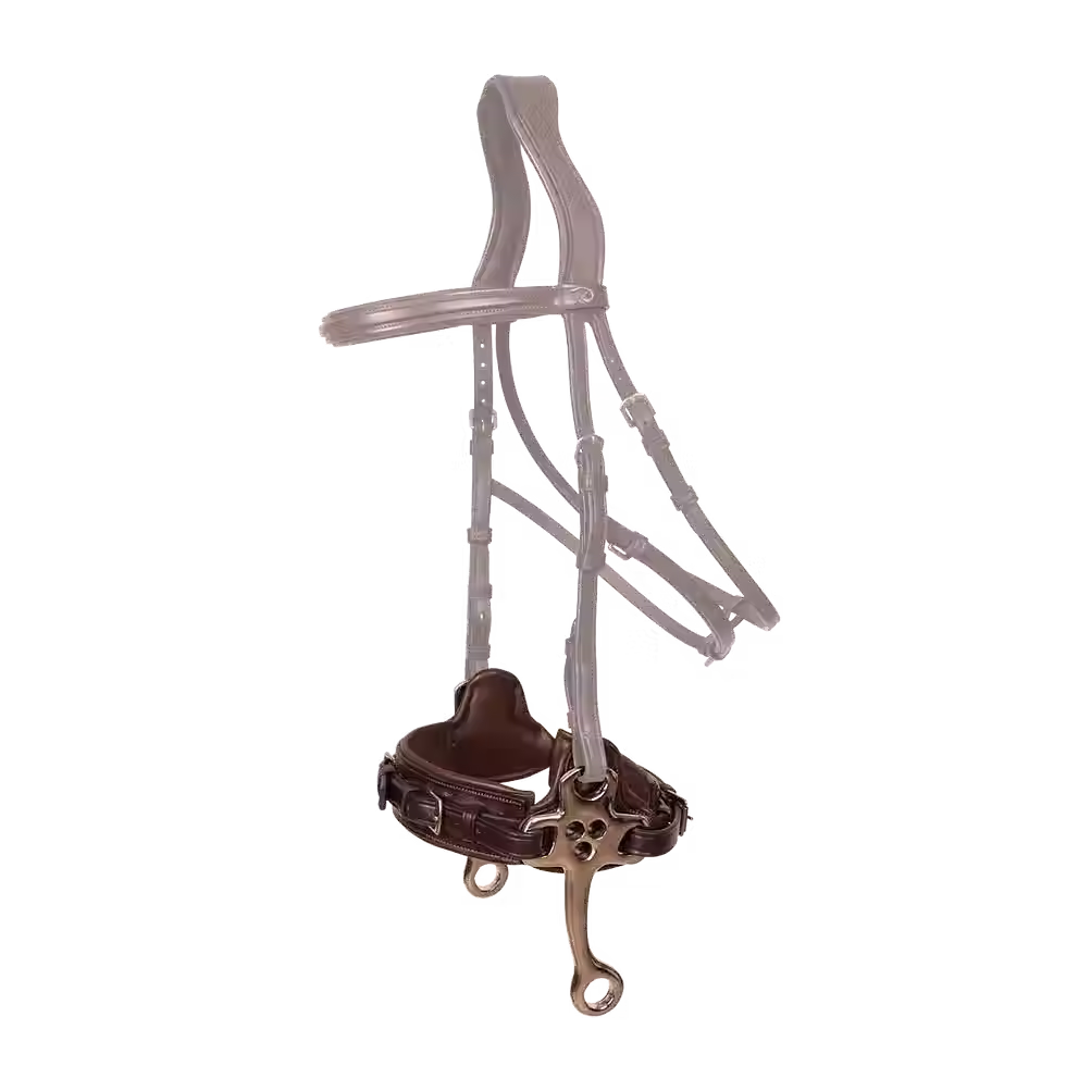 Hackamore - Dy'on