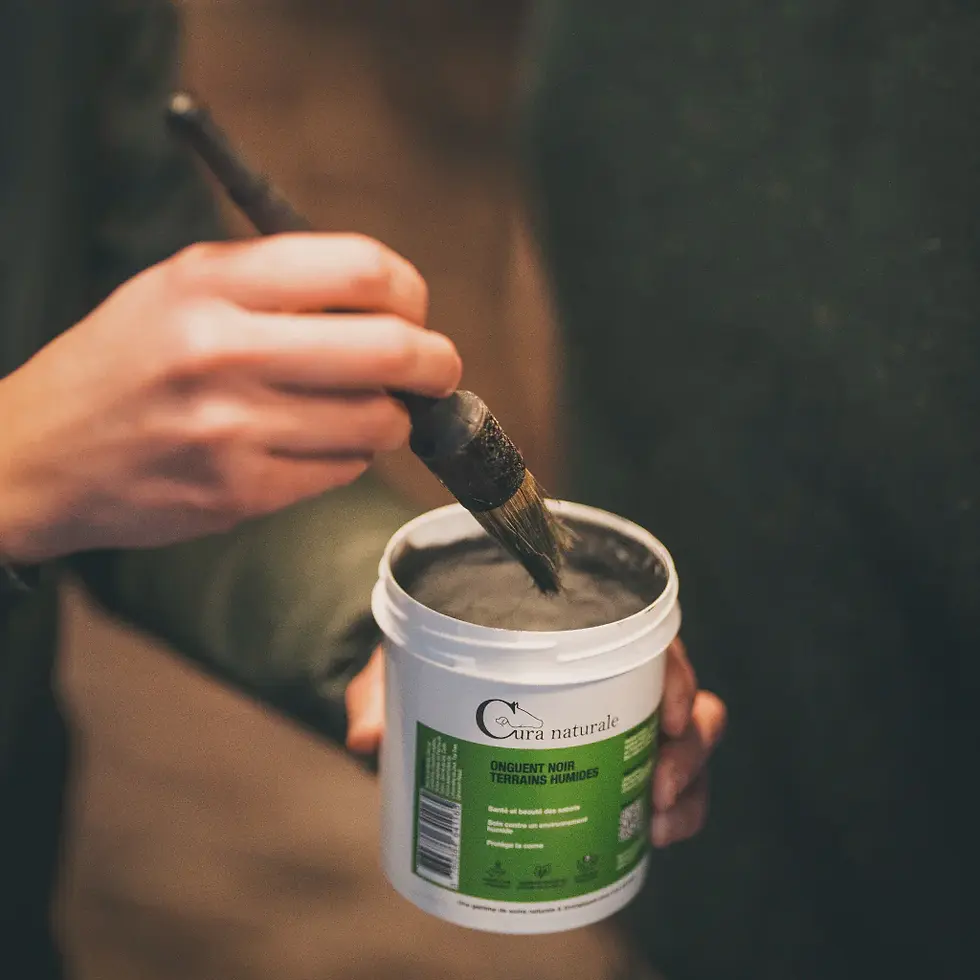 Miniature : Onguent naturel terrains humides - Cura Naturale