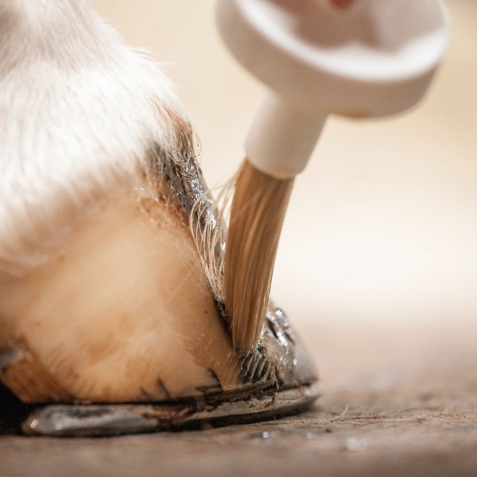 Miniature : Huile sabots humides - Cura Naturale