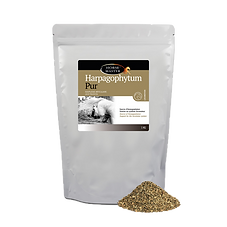 Harpagophytum Pur - Horse Master