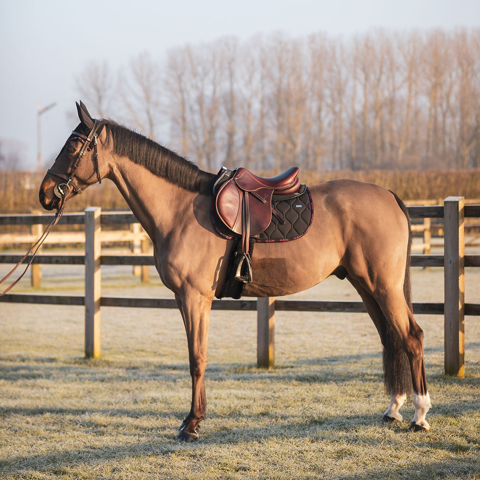 Thumbnail: Tapis de Selle Love GEM Noir / Rose - GEM