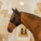 Masque Anti-Mouches Skin Friendly Noir - Kentucky Horsewear