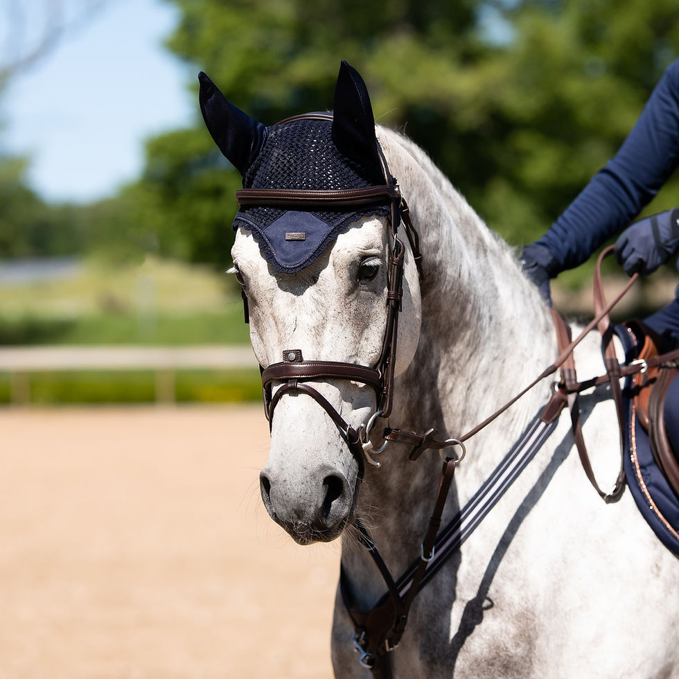Thumbnail: Bonnet Modern Lagoon Blush - Equestrian Stockholm