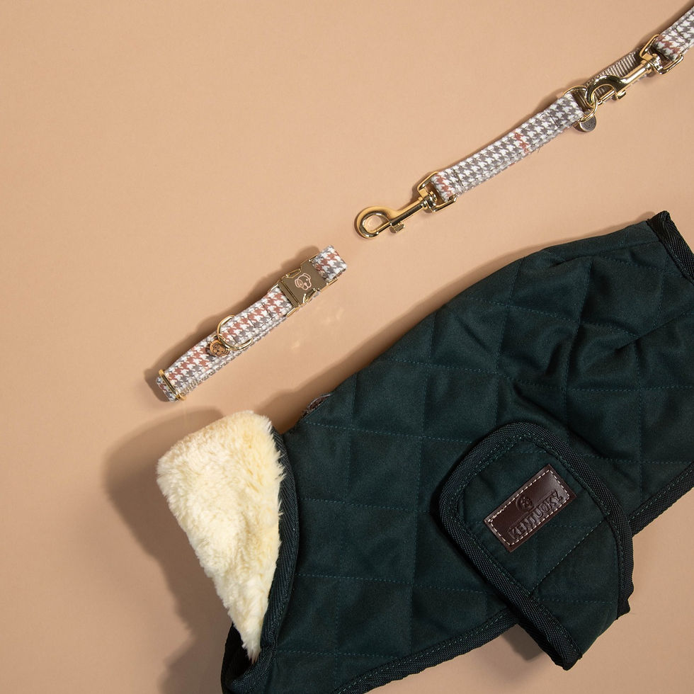 Laisse pour Chien Pied-de-poule Beige - Kentucky Dogwear