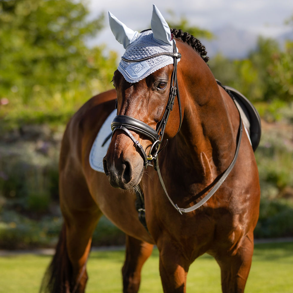 Thumbnail: Bonnet Classic Mist - LeMieux